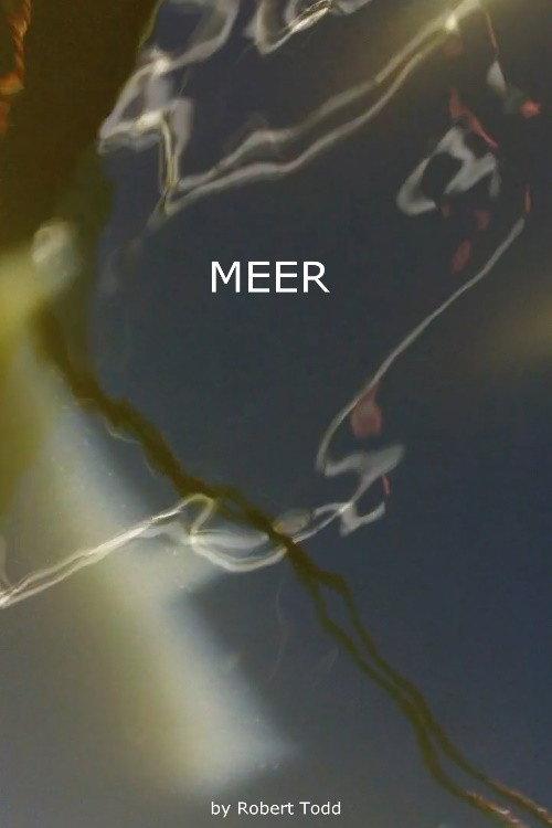 Meer 2010 official movie poster