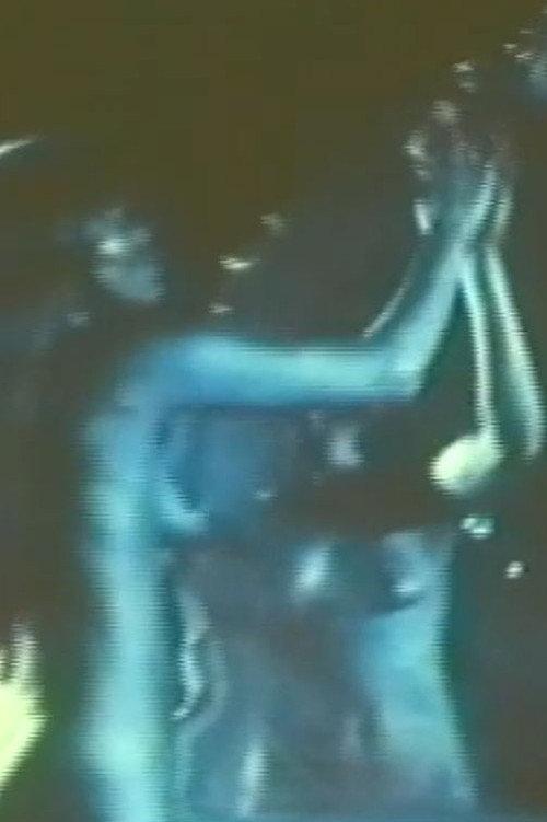 Lady of the Lake 1978 official movie poster