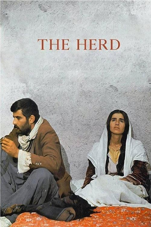 The Herd 1978 official movie poster