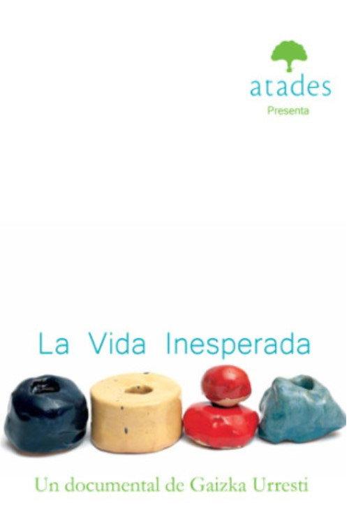 La vida inesperada 2012 official movie poster