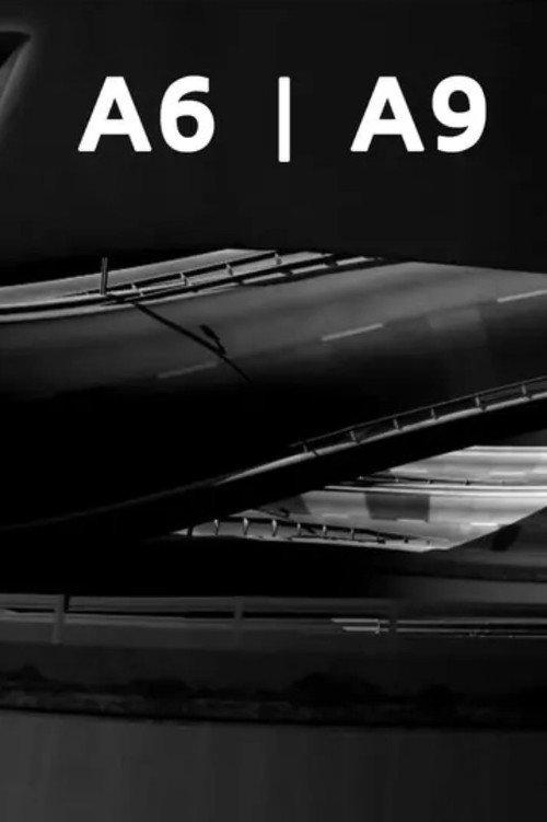 A6/A9 2007 official movie poster