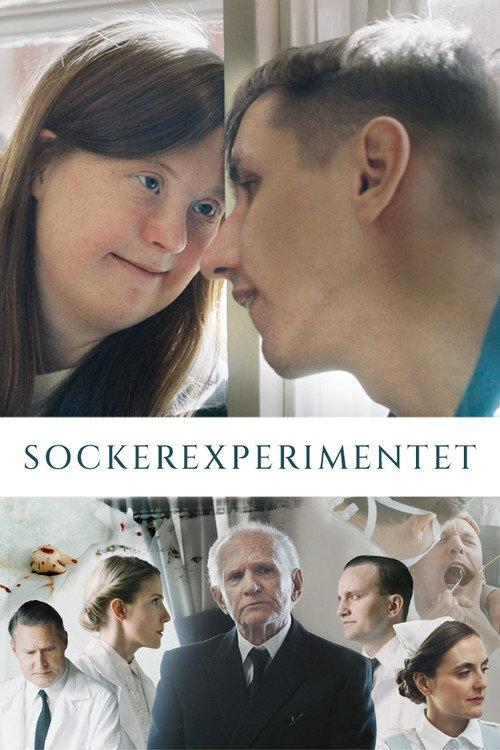 The Sugar Experiment 2023 official movie poster