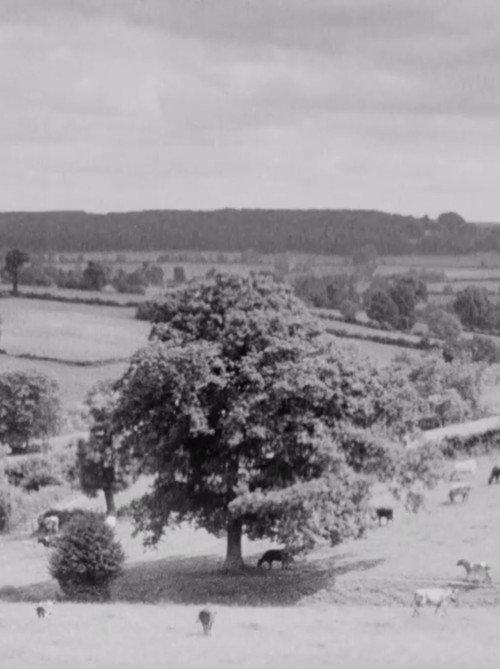 The Chiltern Country 1939 official movie poster