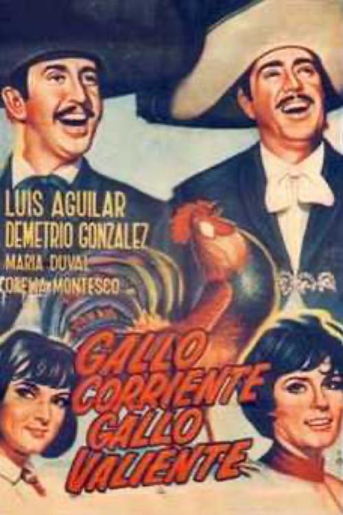 Gallo corriente, gallo valiente 1966 official movie poster