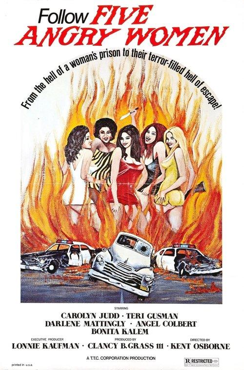 Women Unchained 1974 official movie poster