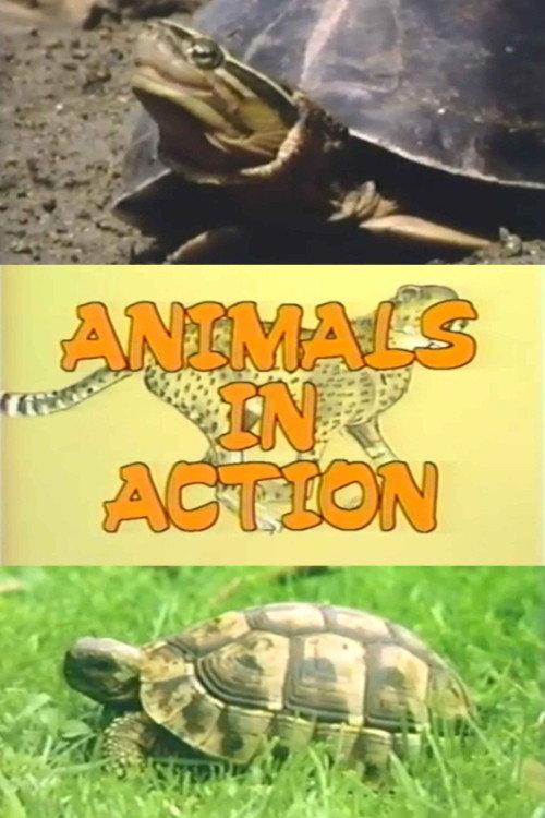 The Turtle Family 1988 official movie poster