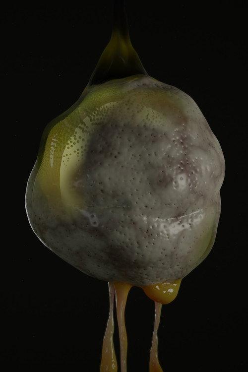 Soup Frog 2022 official movie poster