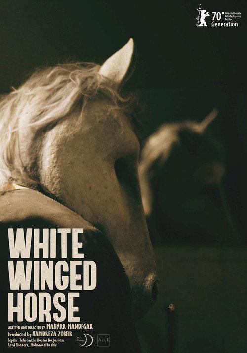 White Winged Horse 2020 official movie poster