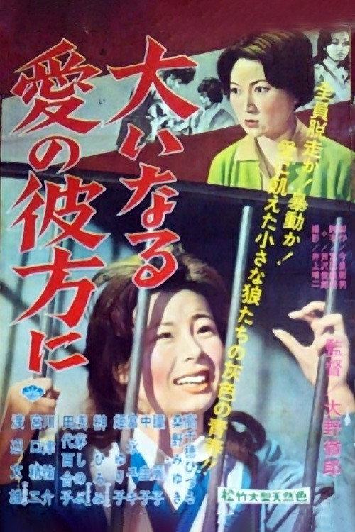 Girls Behind the Bars 1960 official movie poster