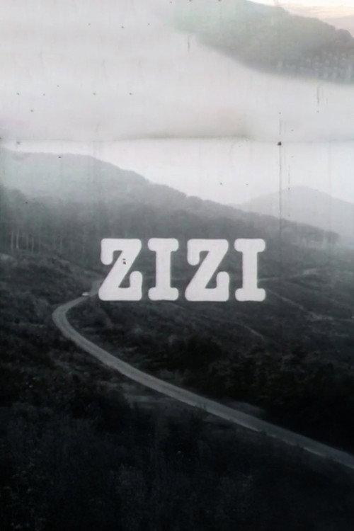 Zizi 1982 official movie poster