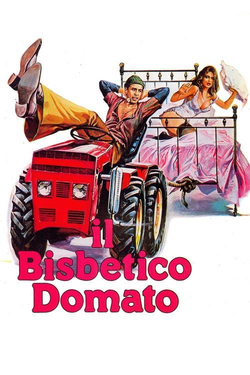 The Taming of the Scoundrel 1980 official movie poster