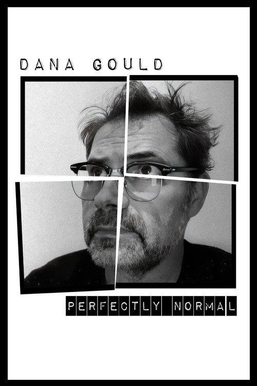 Dana Gould: Perfectly Normal 2025 official movie poster