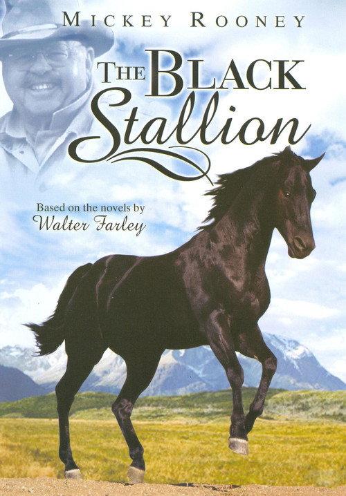 Adventures of the Black Stallion 1990 official movie poster