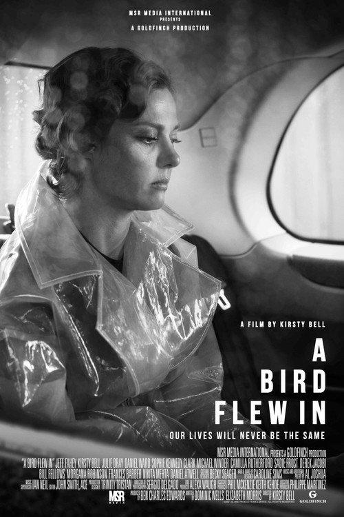A Bird Flew In 2022 official movie poster