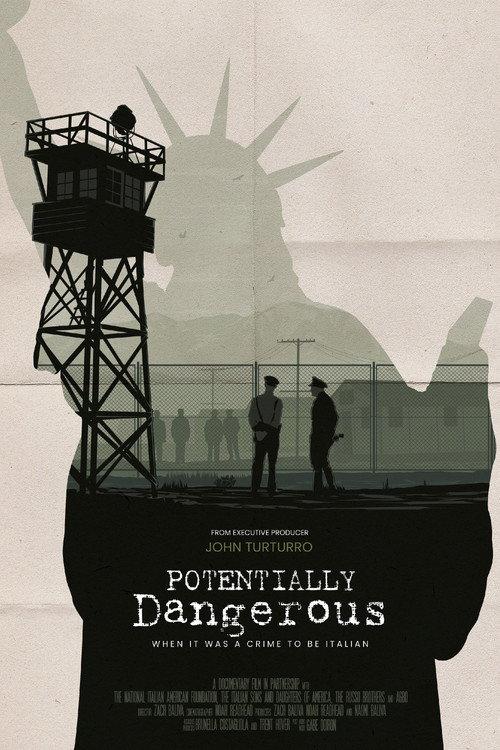 Potentially Dangerous 2022 official movie poster