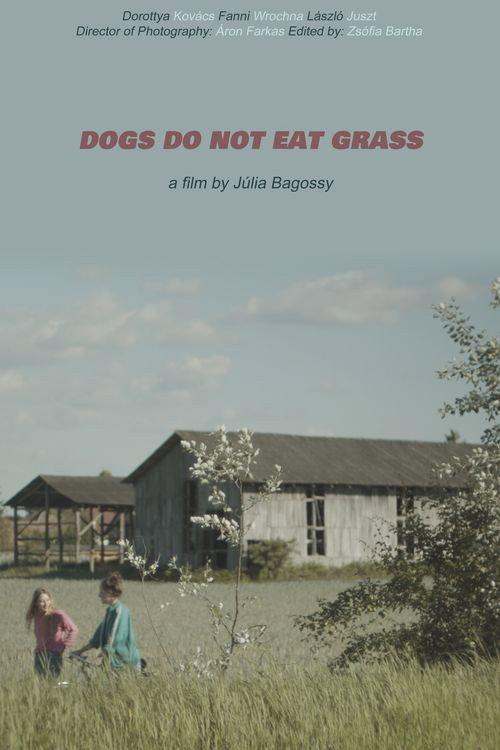 Dogs Do Not Eat Grass 2022 official movie poster
