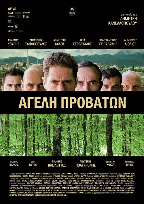 Pack of Sheep 2022 official movie poster