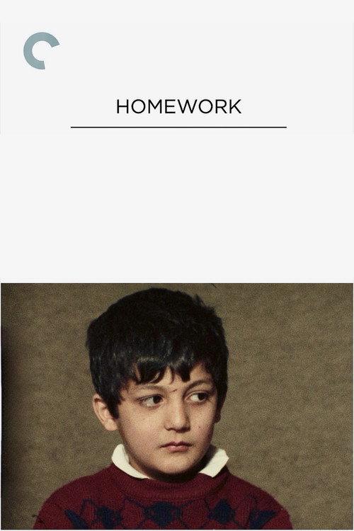 Homework 1989 official movie poster
