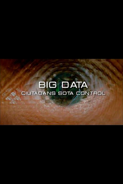 Big Data. Ciudadanos bajo control 2015 official movie poster