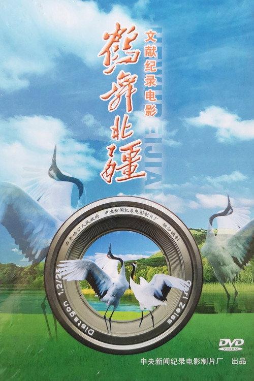 Crane City of the North 2008 official movie poster