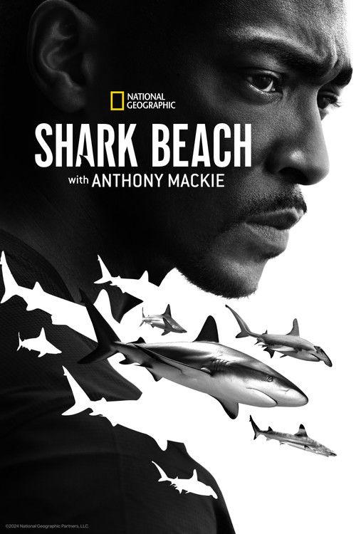 Shark Beach with Anthony Mackie 2024 official movie poster