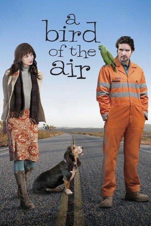 A Bird of the Air 2011 official movie poster