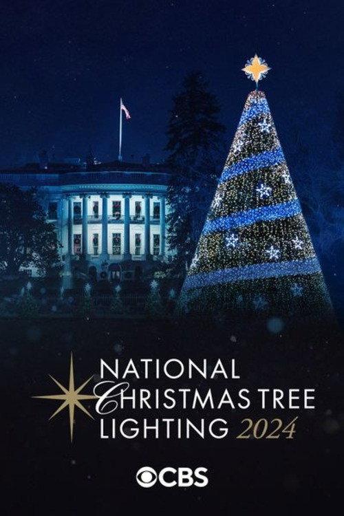 National Christmas Tree Lighting 2024 official movie poster