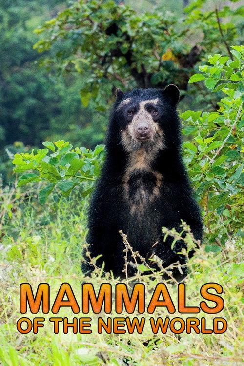 Mammals of the New World 2010 official movie poster