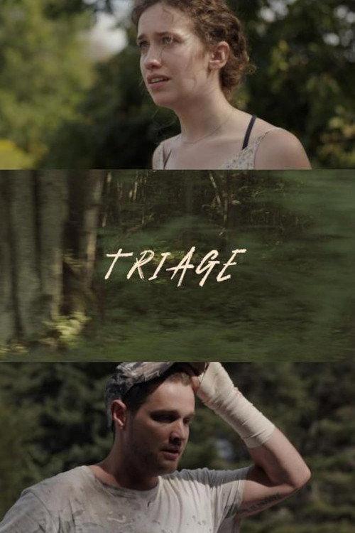 Triage 2024 official movie poster