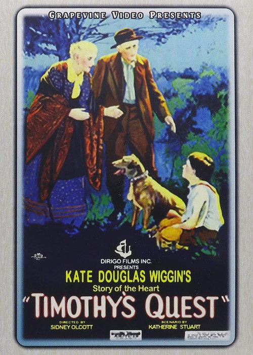 Timothy's Quest 1922 official movie poster