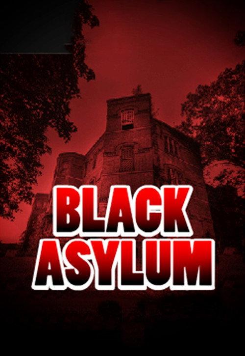 Black Asylum 2013 official movie poster