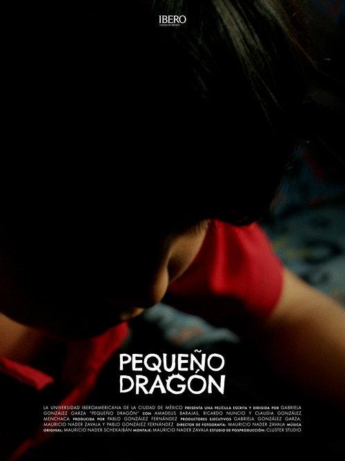 A Dragon's Flight official movie poster
