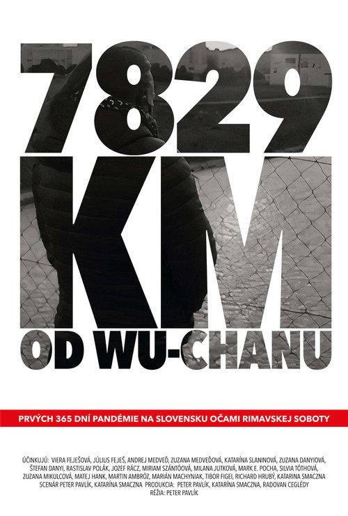 7829 km od Wu-chanu 2021 official movie poster