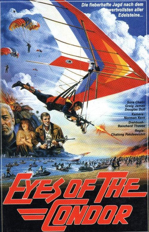 Eyes of the Condor 1987 official movie poster