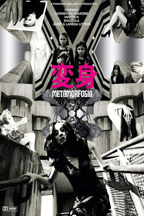 Metamorfosia 2014 official movie poster