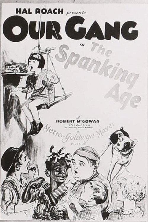 The Spanking Age 1928 official movie poster