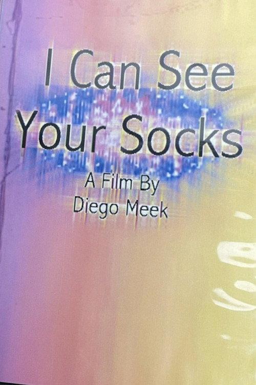 I Can See Your Socks 2013 official movie poster