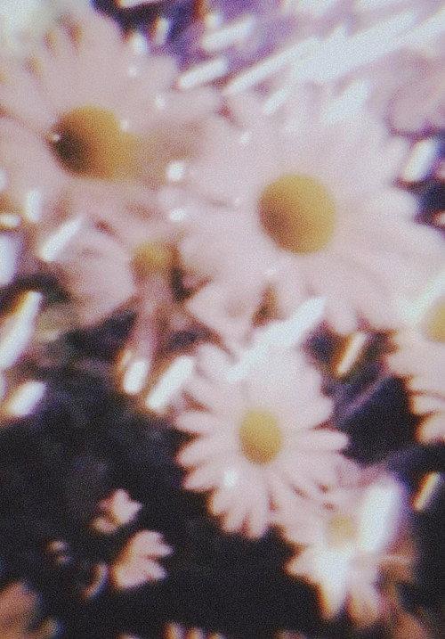 Amorphous diary  official movie poster