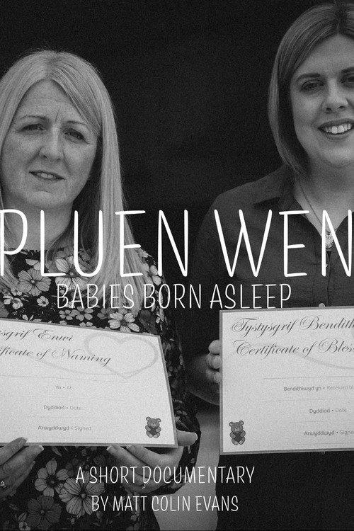 Pluen Wen: Babies Born Asleep official movie poster