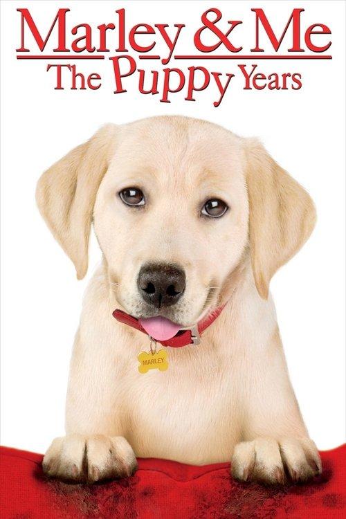 Marley & Me: The Puppy Years 2011 official movie poster