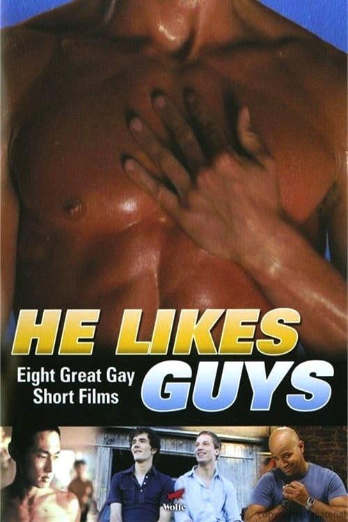 He Likes Guys 2009 official movie poster