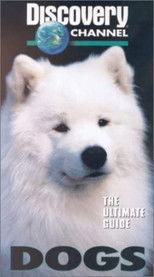 The Ultimate Guide - Dogs 1997 official movie poster
