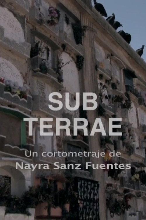 Sub Terrae 2017 official movie poster