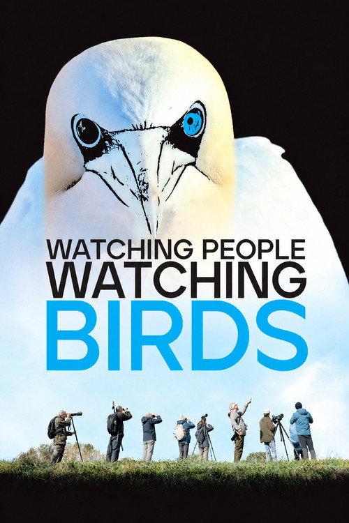Watching People Watching Birds 2026 official movie poster