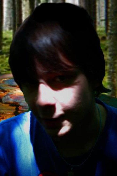 The Hamleigh Disappearances 2015 official movie poster