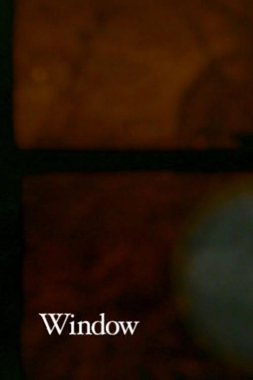 Window 2001 official movie poster