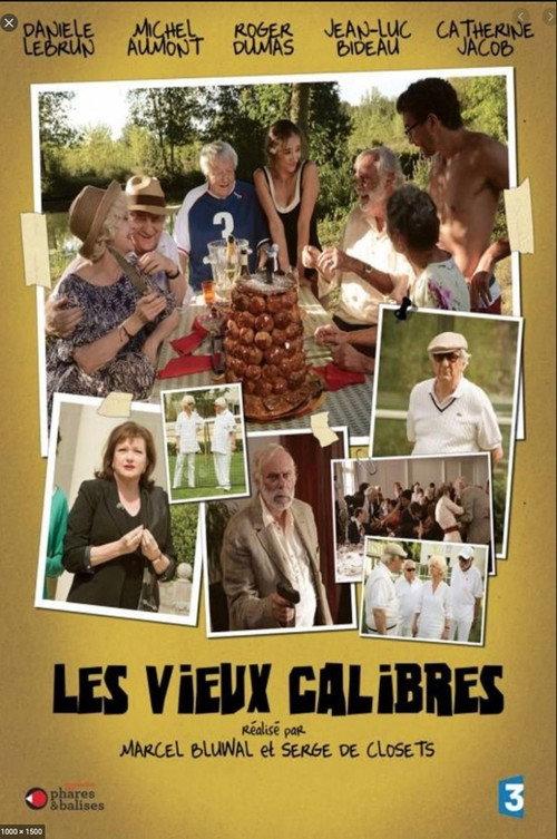 Les Vieux Calibres 2013 official movie poster