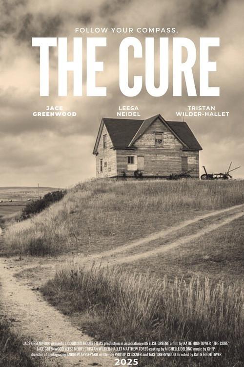 The Cure 2025 official movie poster