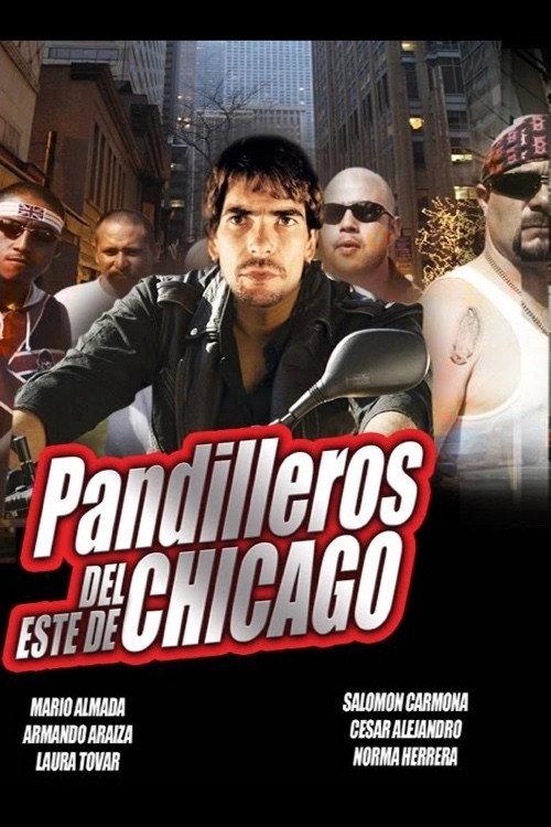 Chicago, pandillas salvajes 1991 official movie poster