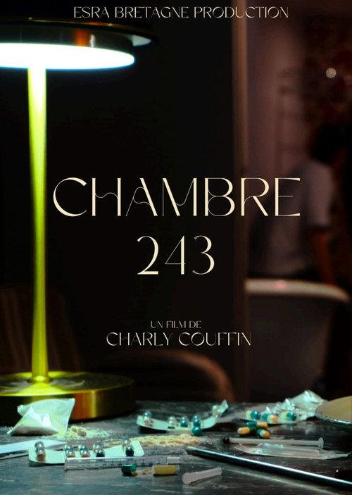 Chambre 243 2024 official movie poster